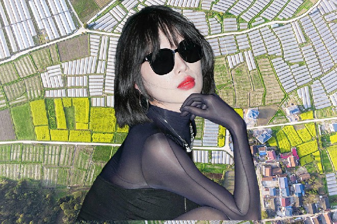 但就在这个时候，旁边的金属胶囊忽然响起了警报的声音