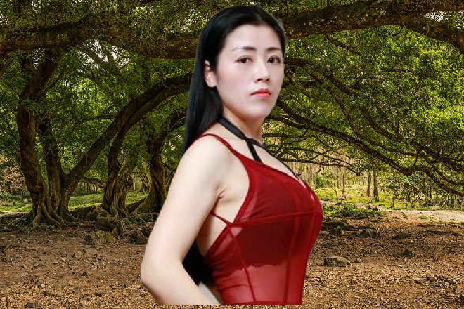 龟谋士玩权谋是一把手，但论文武韬略，他可就不行了