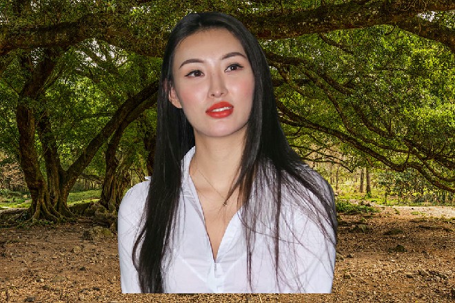 宋妮谦虚地说道，诺曦S挥挥手，示意宋妮继续说下去