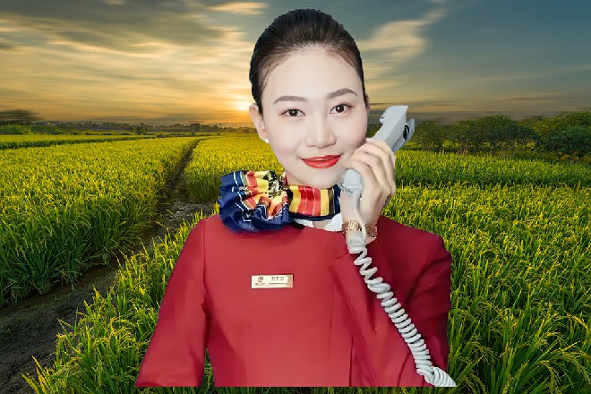 距离人类联军进攻星月城，已经过去了一个星期多点