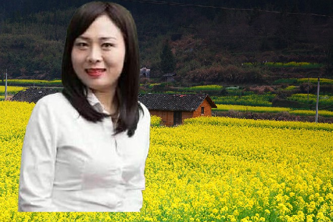 紫罗兰旗下有安保公司，这些事就交给他们来处理吧