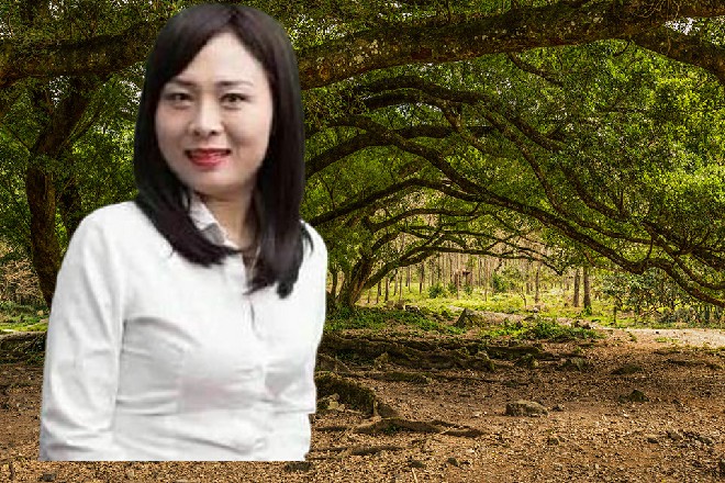 诺曦S上前笑呵呵地问道，却惹来两个女人共同的白眼