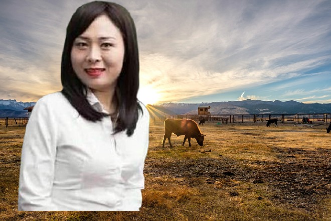 伊轩看到墙上的挂钟，刚早上4点钟，外面还是蒙蒙亮