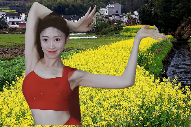 若依点点头，他擦干净头上的汗，继续跟王安麒开始对打