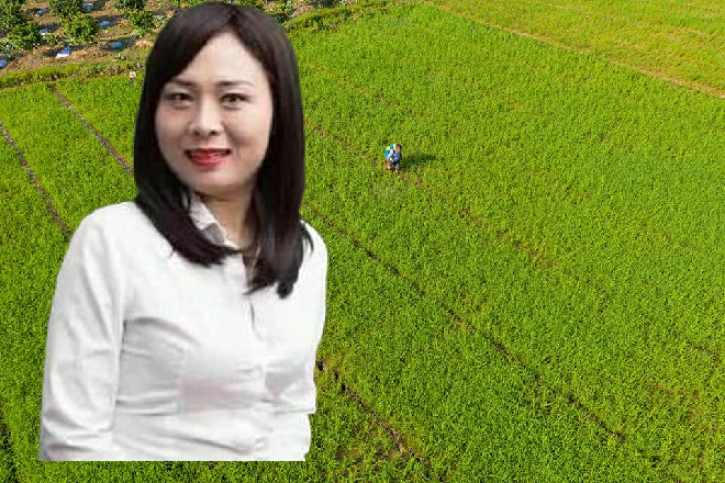 若依点点头，这一年辛苦你们了，星月城发展的如何了