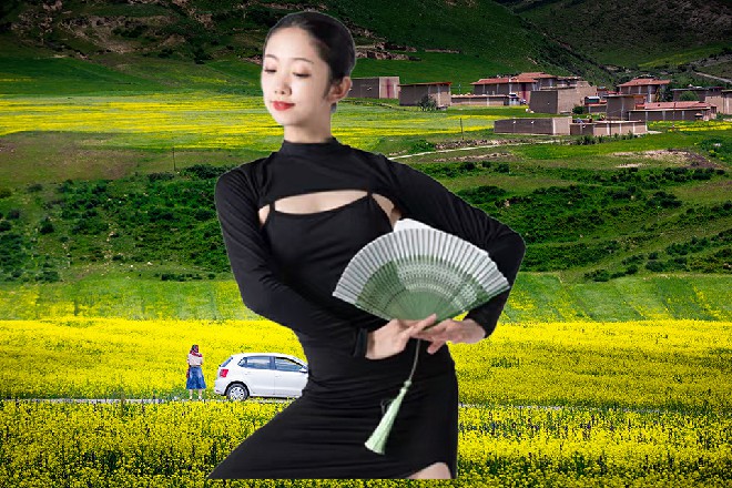 贝娜介绍了一下，威力挺强的，要小心他们的龙息火球哦